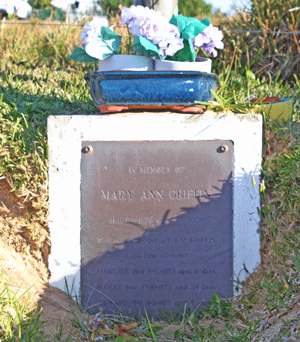 Moreton Island Historical Graves