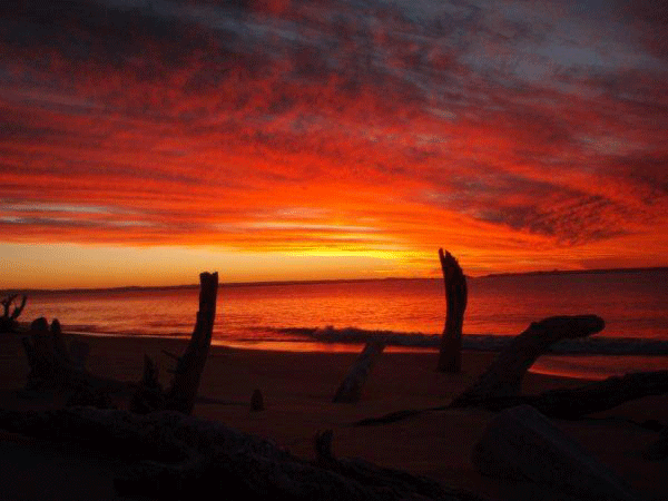 kooringal kooringal point Moreton Island