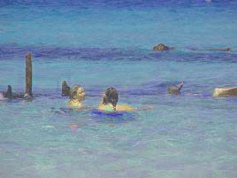  Bulwer wrecks Moreton Island