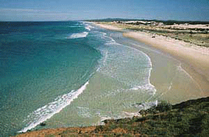 Wrecks in front of Bulwer Beachfront Bulwer wrecks Moreton Island